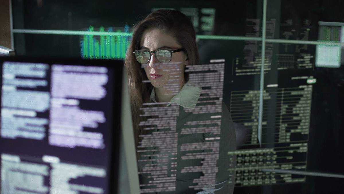 corporate software inspector​