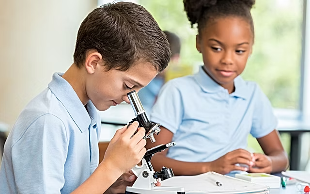 Navigating the World of Cells and Ecosystems: Why Secondary Biology Tuition Matters for Teens